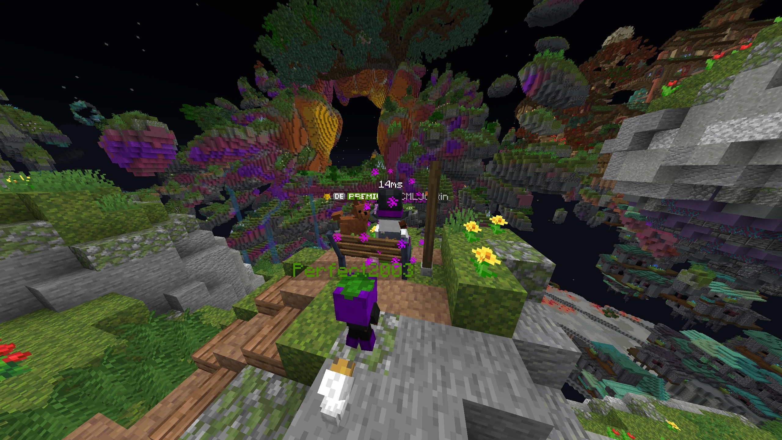 Screenshot by CMLJustin