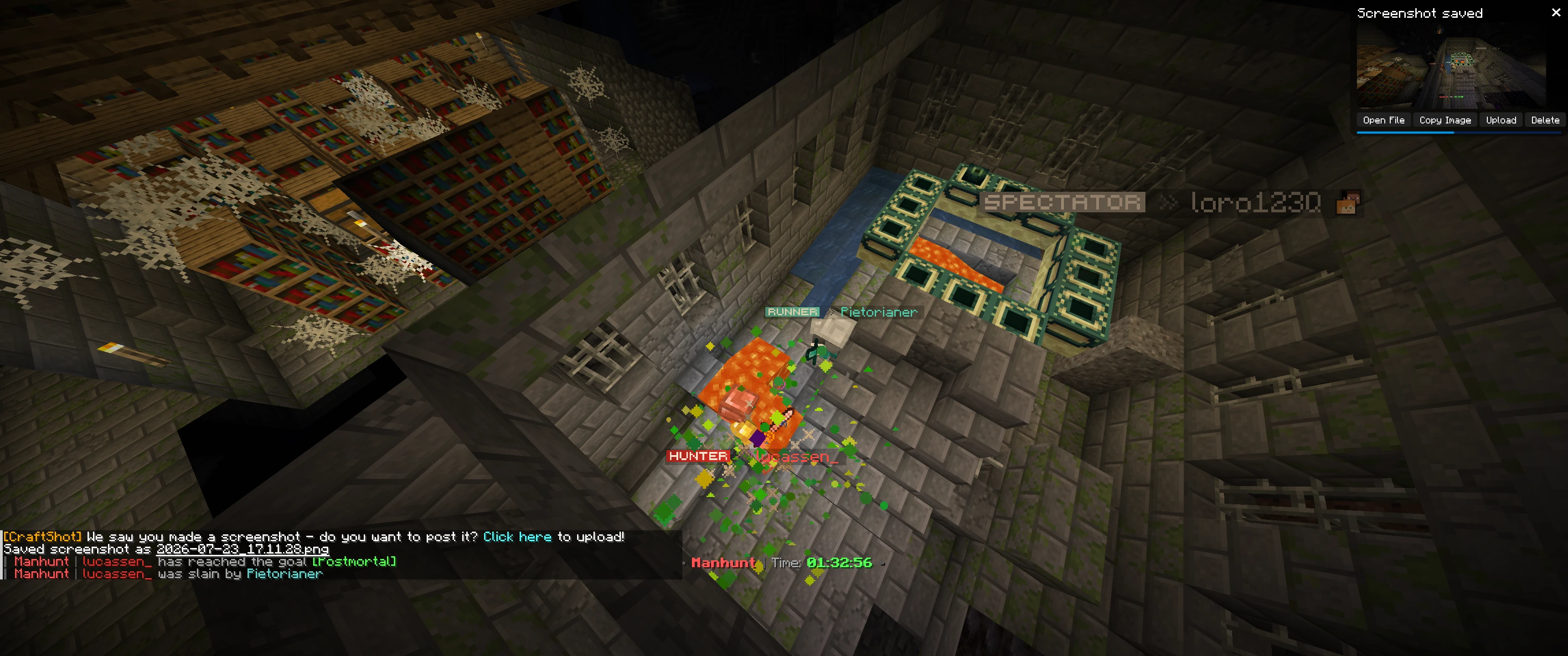 Screenshot by DomiIRL