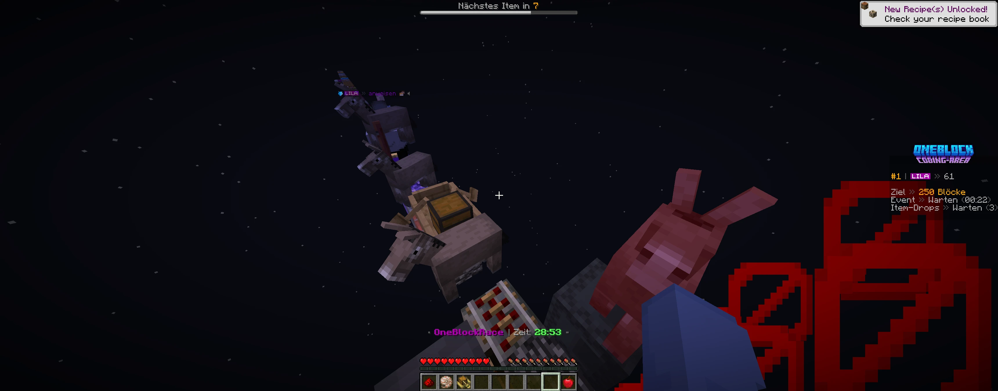 Screenshot by DomiIRL