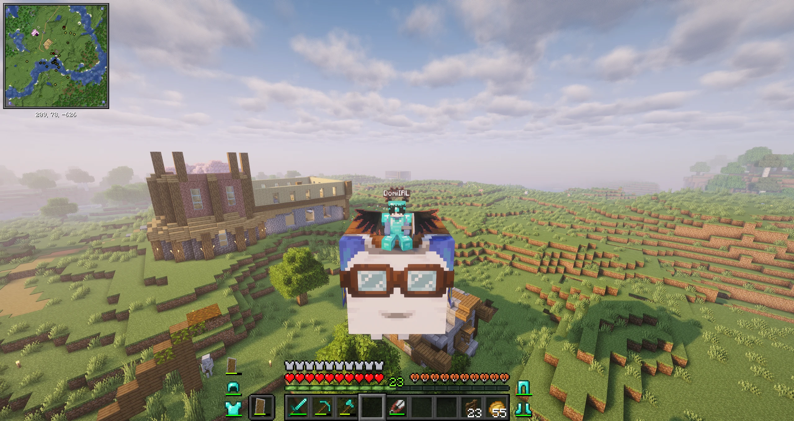 Screenshot by DomiIRL