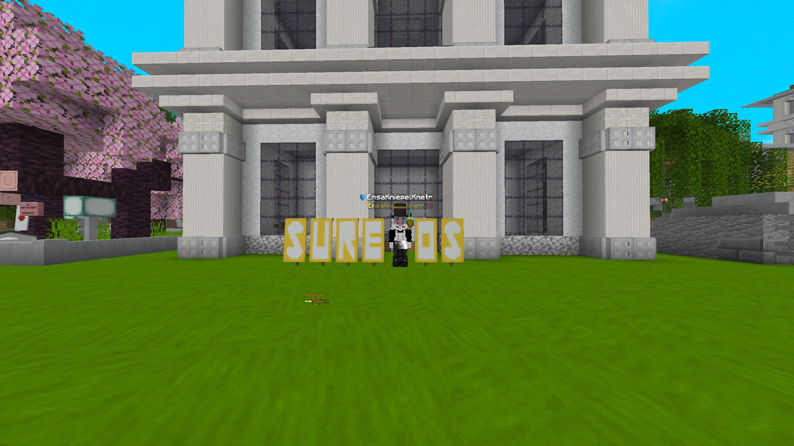 Screenshot by EnsaKniepelKnetr