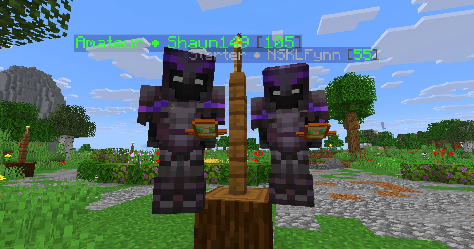 Screenshot by SenorPolloYT