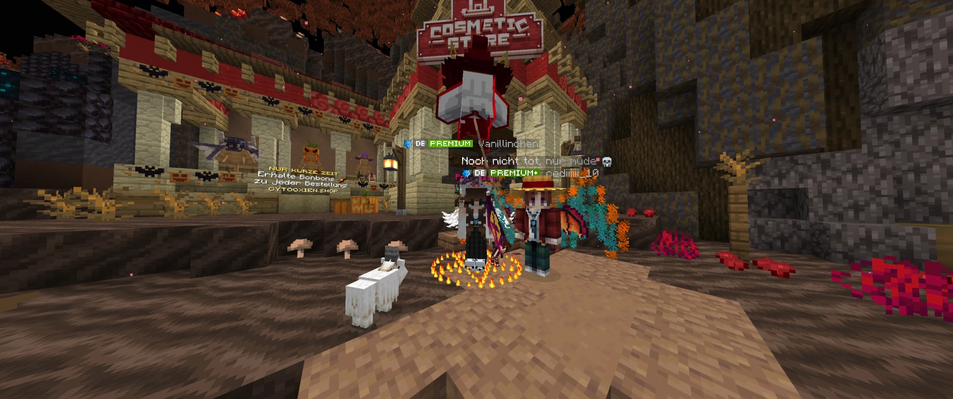 Screenshot by Vanillinchen