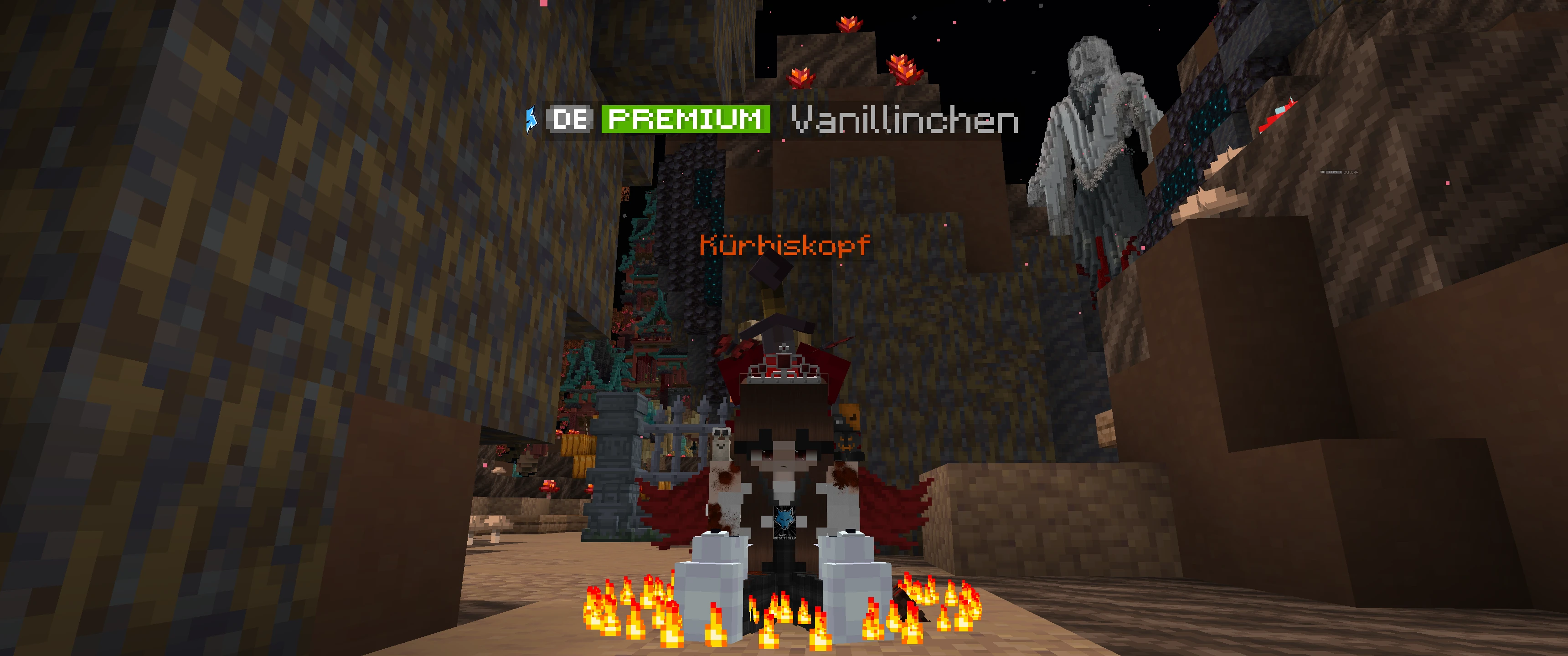 Screenshot by Vanillinchen