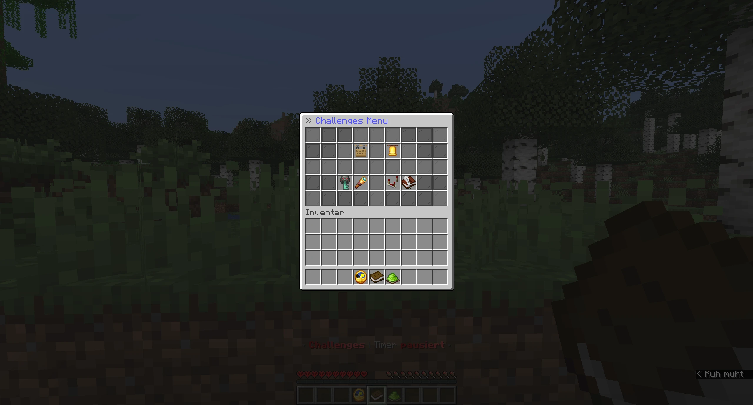 Screenshot by anweisen
