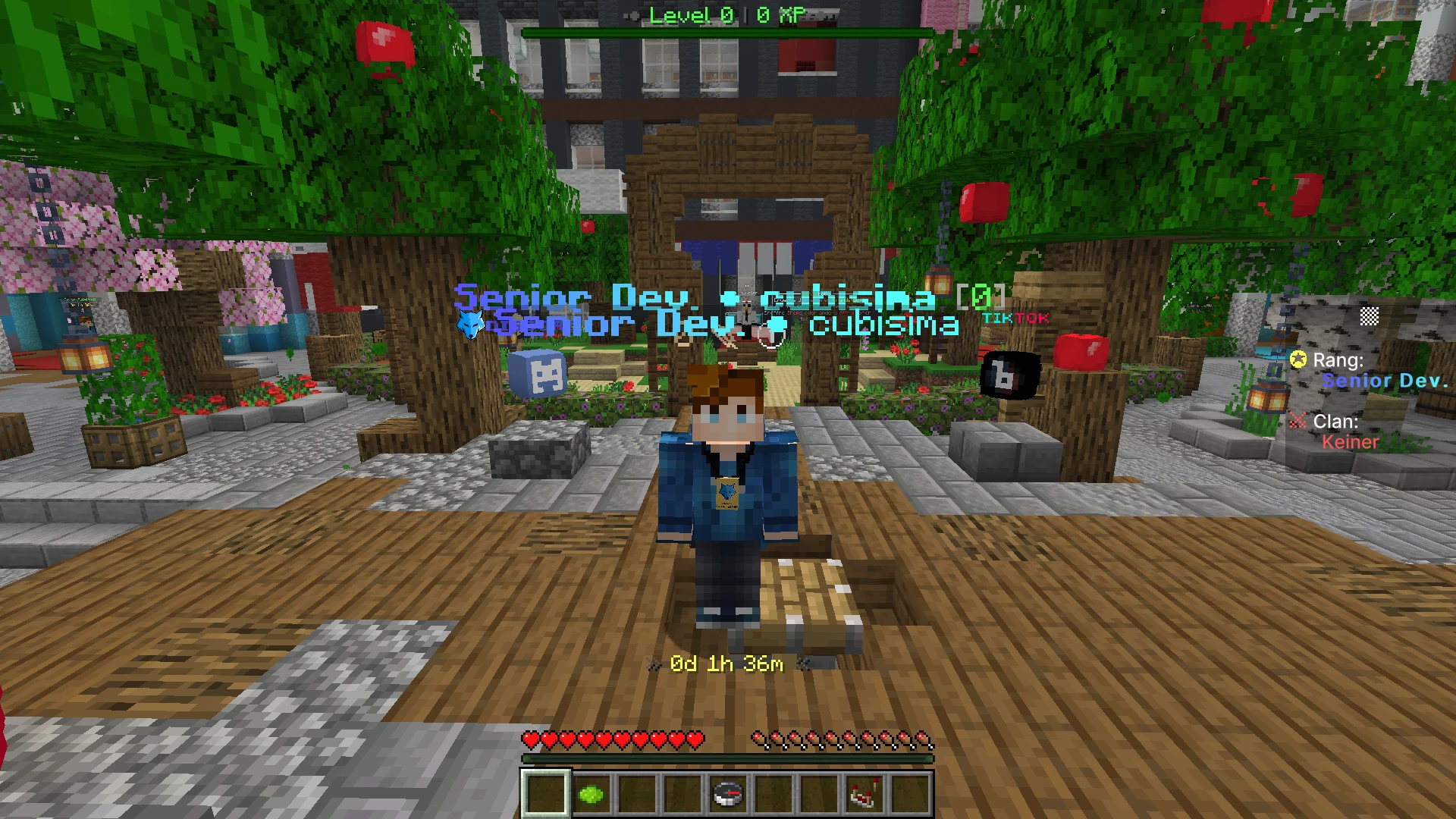 Screenshot by cubisima