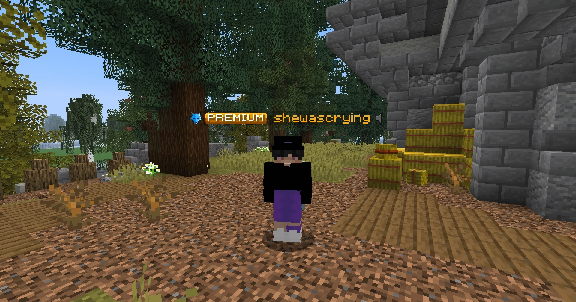 Screenshot by shewascrying